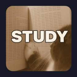 Study conviction
