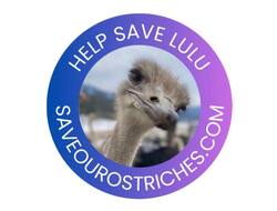 Lulu the Ostrich
