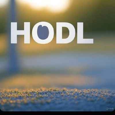 HODL 圖標